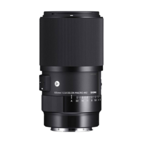 Sigma 105mm F/2.8 MACRO ART (SONY FE)